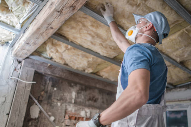 Best Eco-Friendly Insulation in East Foothills, CA