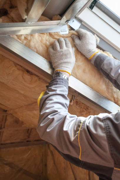Types of Insulation We Offer in East Foothills, CA