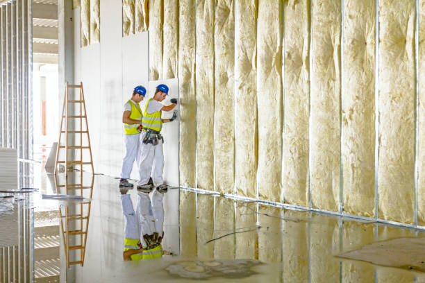 Best Geographic-Specific Insulation Services in East Foothills, CA